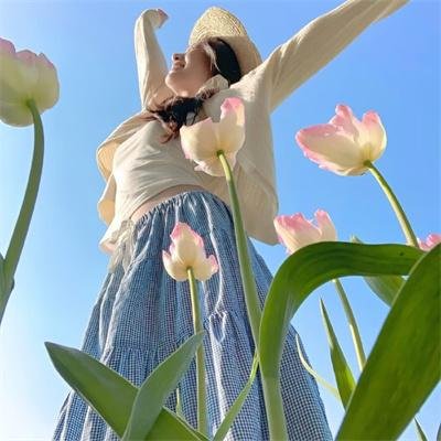 理性和感性